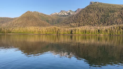 Ein-Wald-Auf-Alaskas-Insel-Kuprenof-Spiegelt-Sich-Im-Wasser