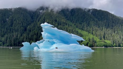 Ein-Seehund-Entspannt-Sich-Auf-Einem-Eisberg-In-Alaskas-Laconte-Bay