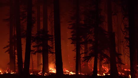 Das-Dixie-Feuer-Brennt-Nachts-Unkontrolliert-In-Einem-Wald-In-Nordkalifornien