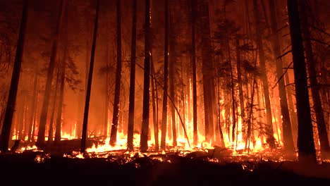 Das-Dixie-Feuer-Brennt-Nachts-Unkontrolliert-In-Einem-Wald-In-Nordkalifornien