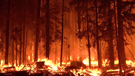 The-Dixie-Fire-Burns-Unchecked-In-A-Forest-In-Northern-California-At-Night