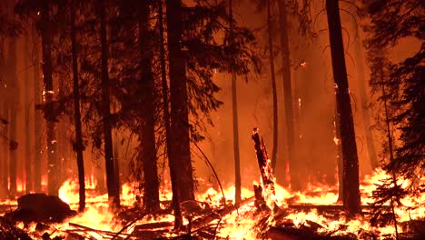 The-Dixie-Fire-Burns-Unchecked-In-A-Forest-In-Northern-California-At-Night