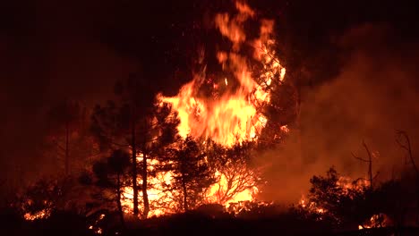 El-Fuego-Dixie-Quema-La-Vegetación-En-Un-Bosque-En-El-Norte-De-California-Por-La-Noche