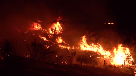 El-Fuego-Dixie-Quema-La-Vegetación-En-Un-Bosque-En-El-Norte-De-California-Por-La-Noche