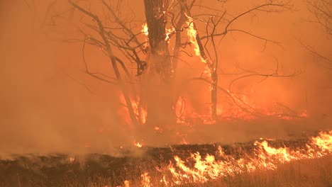 The-Dixie-Fire-Burns-Unchecked-In-A-Forest-In-Northern-California