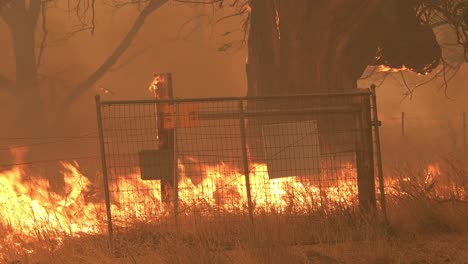 El-Incendio-Dixie-Arde-En-Una-Propiedad-Rural-En-El-Norte-De-California