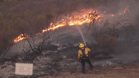 Bomberos-Atacan-Incendio-Alisal-A-Lo-Largo-De-La-Costa-Gaviota-En-El-Cantón-Santa-Barbara