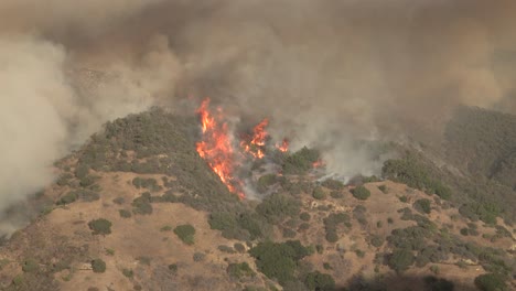 El-Fuego-Alisal-Arde-En-Una-Ladera-Del-Sur-De-California-A-Lo-Largo-De-La-Costa-De-Gaviota-En-El-Condado-De-Santa-Barbara