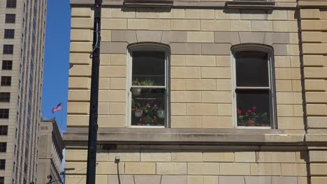 Toma-De-Establecimiento-De-Un-Apartamento-Genérico-Con-Plantas-Y-Flores-En-La-Ventana