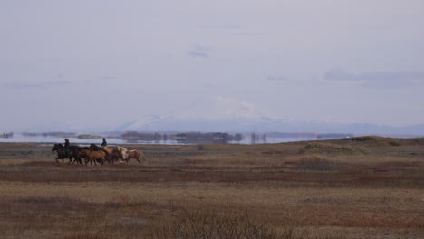 La-Gente-Monta-Ponis-Islandeses-A-Través-De-Un-Paisaje-Espectacular-En-Islandia