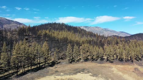 Aerial-Over-The-Burned-Destroyed-Forest-And-Wilderness-Destruction-Of-The-Caldor-Fire-Near-Lake-Tahoe,-California