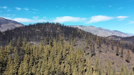 Aerial-Over-The-Burned-Destroyed-Forest-And-Wilderness-Destruction-Of-The-Caldor-Fire-Near-Lake-Tahoe,-California