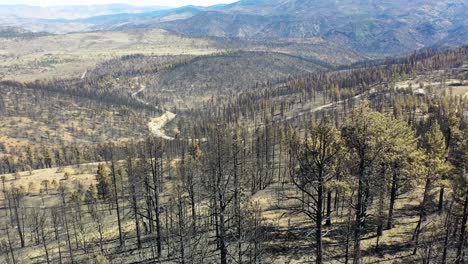 Antena-Sobre-árboles-Forestales-Destruidos-Quemados-Y-Destrucción-Del-Desierto-Del-Fuego-Caldor-Cerca-Del-Lago-Tahoe,-California