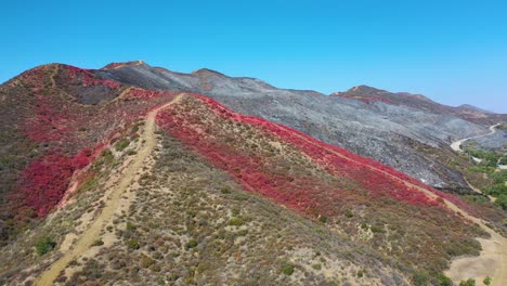 Colinas-Rojas-Y-Negras-En-El-Sur-De-California-Cubiertas-De-Ceniza-Y-Retardante-De-Fuego-Después-De-Un-Incendio-Forestal