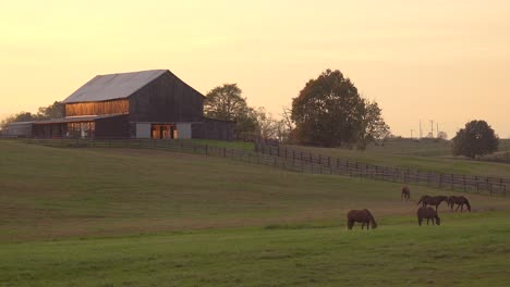 Toma-De-Establecimiento-De-Una-Granja-Rural-De-Caballos-De-Pura-Sangre-De-Kentucky-Y-Granero-A-La-Luz-Del-Atardecer