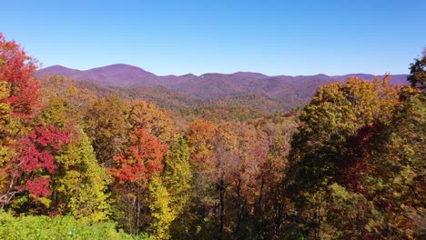 Beautiful-Aerial-Of-Trees-Turning-Color-In-Autumn-Or-Fall-In-The-Blue-Ridge-Mountains-Of-Appalachia,-North-Georgia,-The-Chattahoochee–Oconee-National-Forest