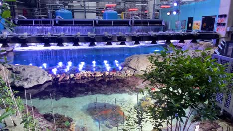 Maschinen-Leiten-Wasser-In-Tanks,-Um-Ein-Korallenriff-Im-Georgia-Aquarium-In-Atlanta-Zu-Simulieren