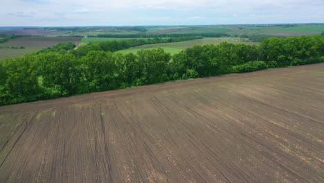 High-Aerial-Over-Farm-Fields-And-Agriculture-Crops-Growing-In-Ukraine-Suggests-Ukrainian-Landscape