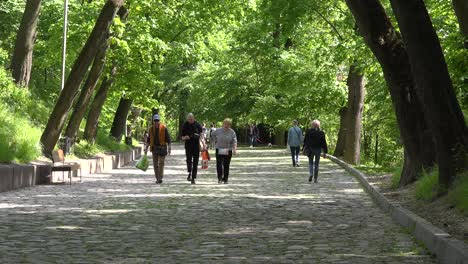 La-Gente-Camina-Por-Las-Calles-Adoquinadas-Bordeadas-De-árboles-De-Lviv,-Ucrania