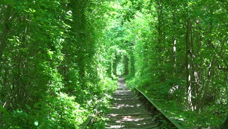 Toma-De-Establecimiento-De-La-Línea-Ferroviaria-Del-Túnel-Del-Amor-A-Través-De-La-Vegetación-Verde-En-El-Centro-De-Ucrania