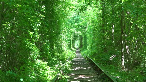 Toma-De-Establecimiento-De-La-Línea-Ferroviaria-Del-Túnel-Del-Amor-A-Través-De-La-Vegetación-Verde-En-El-Centro-De-Ucrania