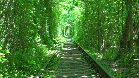 Establishing-Shot-Of-The-Tunnel-Of-Love-Rail-Line-Through-Green-Vegetation-In-Central-Ukraine