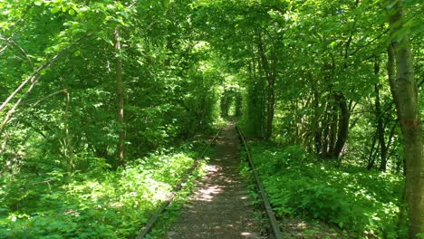 Perspectiva-Aérea-De-La-Línea-Ferroviaria-Del-Túnel-Del-Amor-A-Través-De-La-Vegetación-Verde-En-El-Centro-De-Ucrania