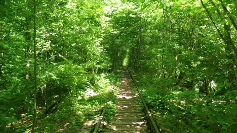 Perspectiva-Aérea-De-La-Línea-Ferroviaria-Del-Túnel-Del-Amor-A-Través-De-La-Vegetación-Verde-En-El-Centro-De-Ucrania