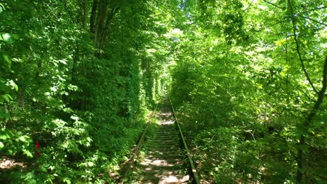 Perspectiva-Aérea-De-La-Línea-Ferroviaria-Del-Túnel-Del-Amor-A-Través-De-La-Vegetación-Verde-En-El-Centro-De-Ucrania