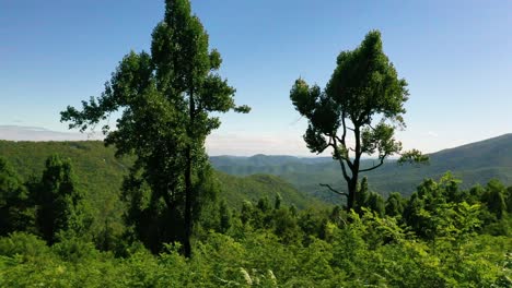 Beautiful-Aerial-Over-The-Blue-Ridge-Mountains-Appalachia,-Tennessee,-Virginia,-North-Carolina-Or-Georgia