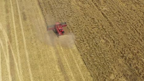 Eine-Ausgezeichnete-Aufnahme-Von-Oben-Eines-Landwirtschaftlichen-Mähdreschers,-Der-Ein-Feld-In-Parkes,-New-South-Wales,-Australien,-Durchschneidet