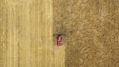 An-Excellent-Overhead-Shot-Of-A-Farming-Combine-Cutting-Through-A-Field-In-Parkes,-New-South-Wales,-Australia