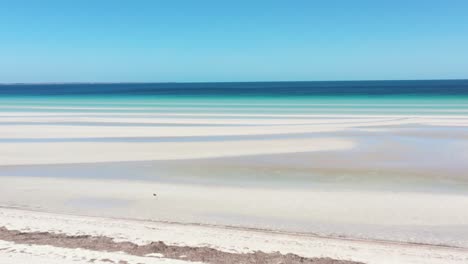 Excelente-Toma-Aérea-Sobre-Las-Arenas-Blancas-Y-El-Agua-Azul-Clara-Frente-A-La-Costa-De-La-Playa-Flaherty-En-La-Península-De-Yorke,-Australia