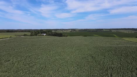 Luftdrohnenvideo-Windschäden-An-Ländlichen,-Landwirtschaftlichen-Nutzpflanzen-Und-Ackerland-Im-Mittleren-Westen-Von-Iowa