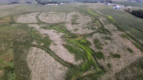 Video-De-Drones-Aéreos-Daños-Causados-Por-El-Viento-En-Cultivos-Agrícolas-Rurales-Y-Agrarios-Y-Tierras-De-Cultivo-En-El-Corazón-Del-Medio-Oeste-De-Iowa