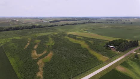 Aerial-Drone-Video-Wind-Damage-To-Rural,-Agrarian-Agricultural-Crops-And-Farmland-In-The-Midwest-Heartland-Of-Iowa