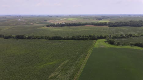 Drohnenvideo-Aus-Der-Luft-Von-Reichen,-Grünen,-Ländlichen,-Landwirtschaftlichen-Ackerland,-Mais-Und-Bohnen-Im-Mittleren-Westen-Von-Iowa