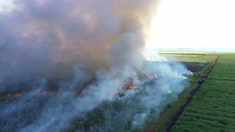 Excelente-Toma-Aérea-De-Un-Campo-De-Caña-De-Azúcar-En-Llamas-En-Florida