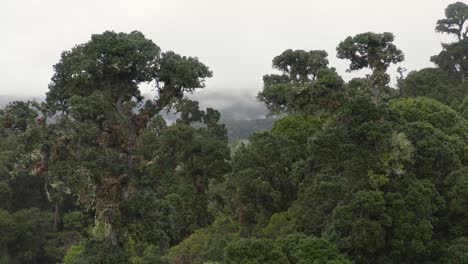 Excellent-Aerial-Shot-Of-A-Misty-Rainforest-In-Costa-Rica