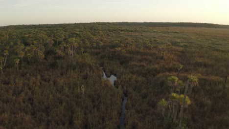 Excelente-Toma-Aérea-De-La-Puesta-De-Sol-En-Una-Pradera-Y-Palmeras-En-Los-Everglades-De-Florida