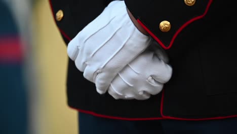 Soldiers-In-Dress-Uniforms-Stand-Guard-At-The-White-House-Before-Joe-Biden’S-Presidential-Inauguration-Washington,-Dc