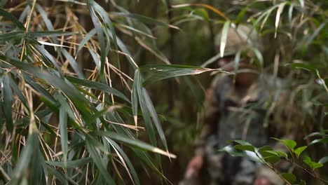 Ejército-De-EE.-UU.,-Infantes-De-Marina-Y-Soldados-De-Autodefensa-Terrestres-Japoneses-Curso-Básico-De-Supervivencia-En-La-Jungla-Entrenamiento,-Okinawa,-Japón