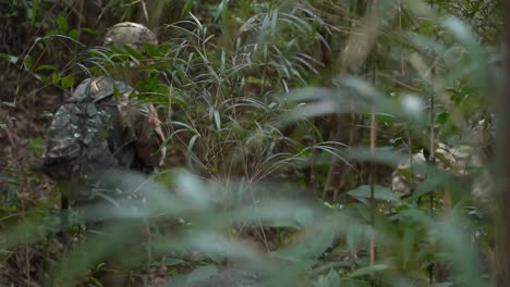 Ejército-De-EE.-UU.,-Infantes-De-Marina-Y-Soldados-De-Autodefensa-Terrestres-Japoneses-Curso-Básico-De-Supervivencia-En-La-Jungla-Entrenamiento,-Okinawa,-Japón