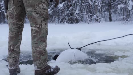 Cámara-Lenta,-Presencia-Mejorada-De-La-Otan-Grupo-De-Batalla-Estonia-Soldados-Zambullirse-En-Agua-Helada-Durante-El-Entrenamiento-De-Invierno