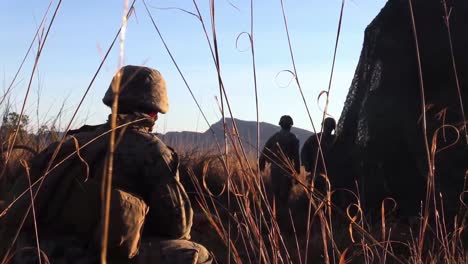 Australian-Defense-Force-Soldiers-And-Us-Marines-Set-Up-And-Fire-Howitzer-Artillery,-Exercise-Talisman-Sabre-21,-Australia