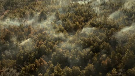 Soldiers-36Th-Combat-Aviation-Brigade-Fight-Wildfires,-Using-Uh-60-Black-Hawk-Helicopters-In-The-Woods,-Bastrop,-Texas