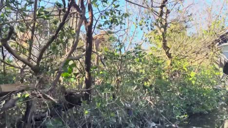 Tripulaciones-Aéreas-Uh-60-Black-Hawk-Sobrevuelan-La-Marejada-Ciclónica-De-Florida-Daños-Por-Inundaciones,-Lluvia-Y-Viento-Causados-Por-El-Desastre-Natural-Del-Huracán-Ian