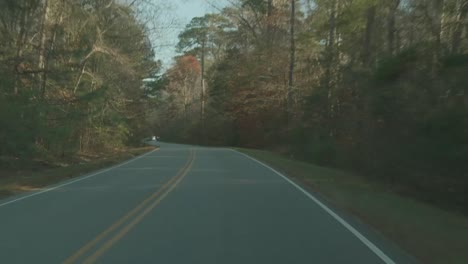 Eine-Kurvenreiche-Zweispurige-Straße-Durch-Die-Herbstlichen-Bäume-Hinunterfahren