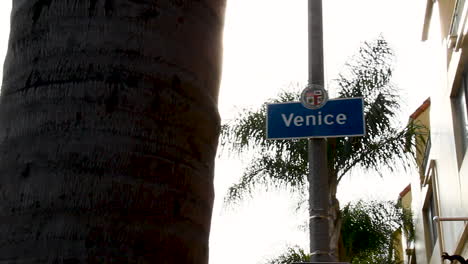 Venecia-Sign_lens-Bengalas-Y-Palmeras