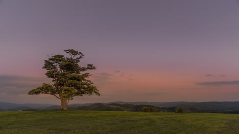 Zeitraffer-Eines-Verlassenen-Baumes-Auf-Einem-Hügel-Bei-Dunklem-Sonnenuntergang-Mit-Aufgehendem-Mond-Bei-Vollmond-über-Dem-Horizont-Zwischen-Natur-Und-Landschaft-Mit-Blick-Auf-Dunkle,-Stimmungsvolle-Wolken-Und-Einen-Traktor,-Der-Nachts-Strohstapel-Trägt